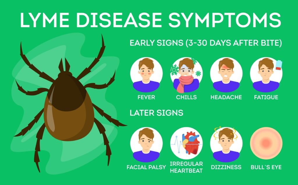 Lyme Disease Symptoms 